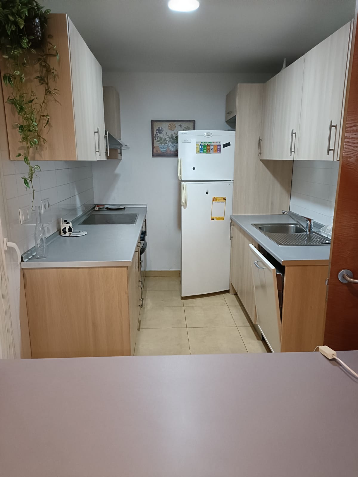 50058_PINO CARRASCO 8 (11).jpeg